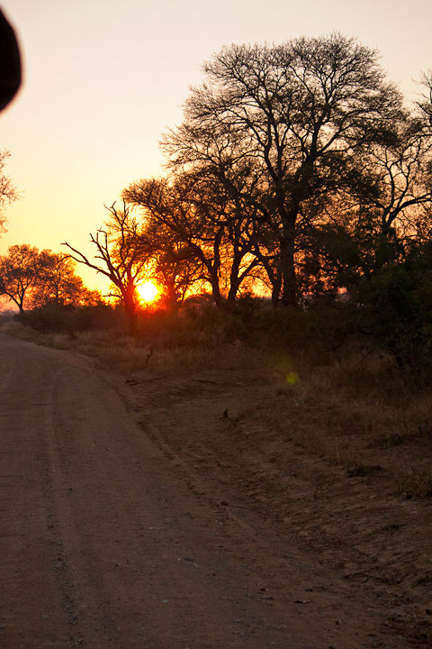 Nascer do Sol no Kruger